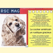 RSC Magazine – Jun 2011